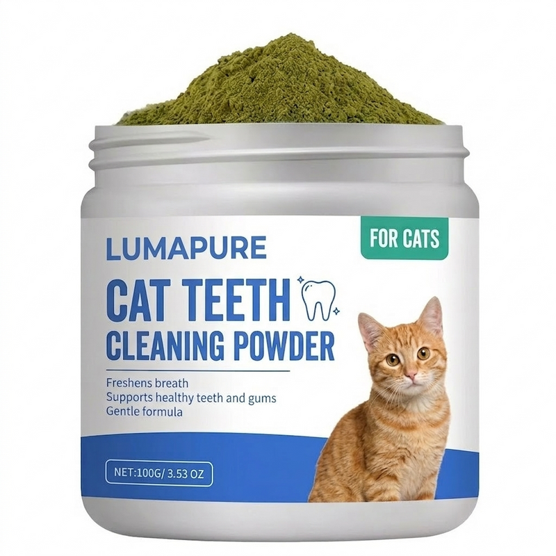 Dental Care Your Cat Will Love